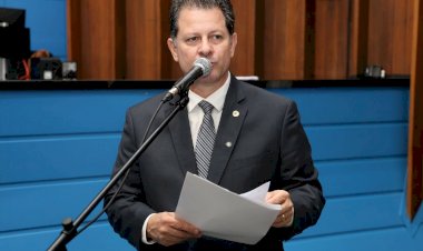 Juruva pode se tornar ave símbolo da Mata Atlântica em MS