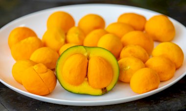 No Dia do Cerrado, alimentos típicos lembram que preservar o bioma também significa valorizar a cultura alimentar brasileira