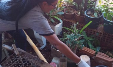 Prefeitura de Dourados registra queda de 41% nas notificações de dengue em 2025