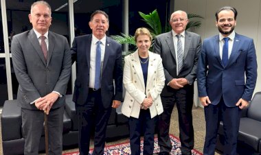 Gerson participa de reunião no TSE sobre plebiscito que decidirá mudança de nome de Rio Verde de Mato Grosso