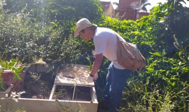 Prefeitura reforça alerta de combate à dengue com chuvas constantes em Dourados