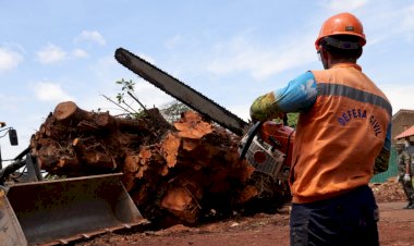 Prefeitura otimiza Defesa Civil e realiza mais de 600 atendimentos no primeiro ano de governo