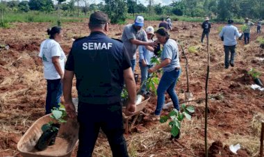Prefeitura transforma o campo, fortalece feiras e impulsiona a agricultura familiar em 11 meses