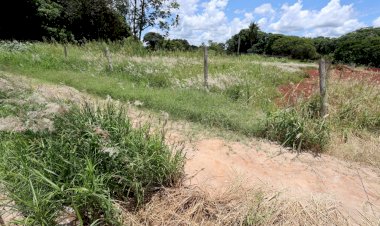 Prefeitura começa a autuar proprietários de terrenos com mato e sujeira no dia 5