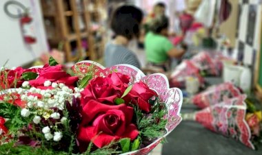 Dia da Mulher: Procon de Mato Grosso do Sul divulga pesquisa sobre flores e autocuidado