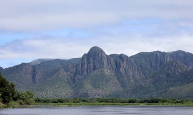 Para preservar o Pantanal, PSA Brigadas destinou mais de R$ 6,1 milhões para diferentes projetos sustentáveis