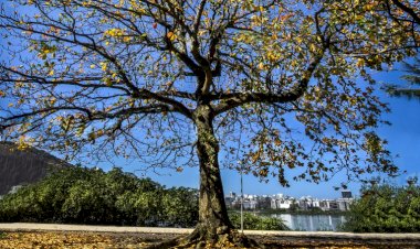 Outono começa com previsão de chuvas abaixo da média e altas temperaturas em MS