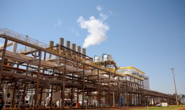 Mato Grosso do Sul projeta safra recorde de etanol, com 5 bilhões de litros produzidos em 2025/2026