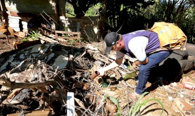 Chikungunya está presente em 37 dos 79 municípios de Mato Grosso do Sul