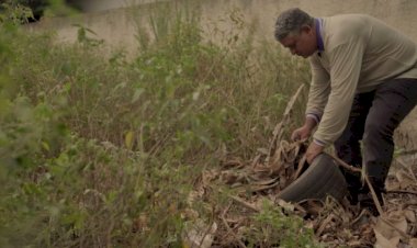 Aldeias de Dourados recebem reforço no atendimento em meio à emergência por chikungunya