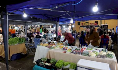Feira Sabores é hoje, no Parque dos Ipês, com música ao vivo e gastronomia