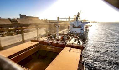 Exportações de MS crescem 6,26% e saldo da balança comercial chega a US$ 2,72 bilhões até abril