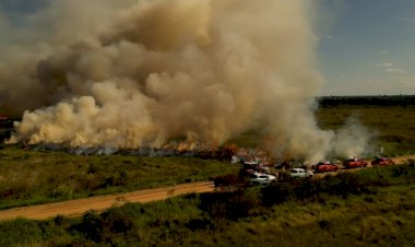 Para conservar e proteger biomas, Governo de MS realiza técnica de queima prescrita em parque estadual