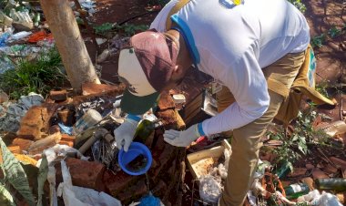 Agentes de endemias vistoriam mais 1.349 imóveis e identificam 6 focos de Chikungunya