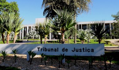 Justiça identifica ações com decisões falsas geradas por IA e manda comunicar OAB