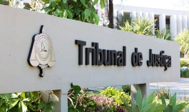 Justiça reconhece dupla maternidade de bebê gerado por inseminação caseira em MS