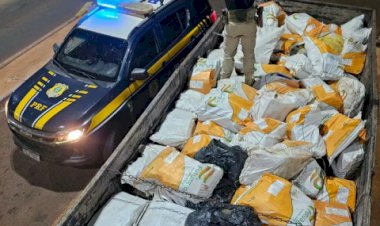 Carga milionária de maconha é descoberta sob sacas de chia
