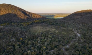 Para preservar o Pantanal, podutores rurais têm ações de conservação remuneradas por programa do Governo de MS