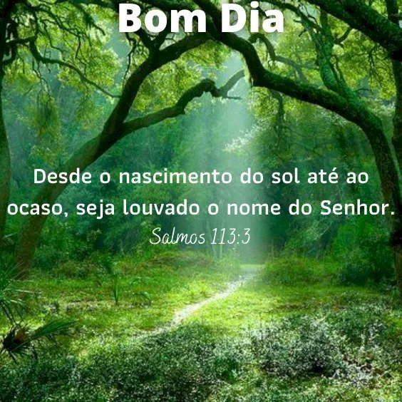 Salmo do dia