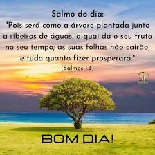 Salmodo dia