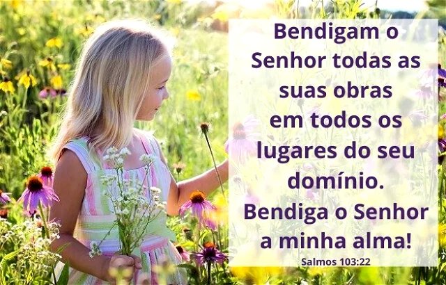 Salmo do dia