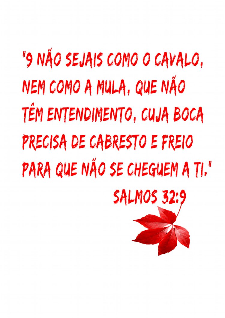 Salmo do dia