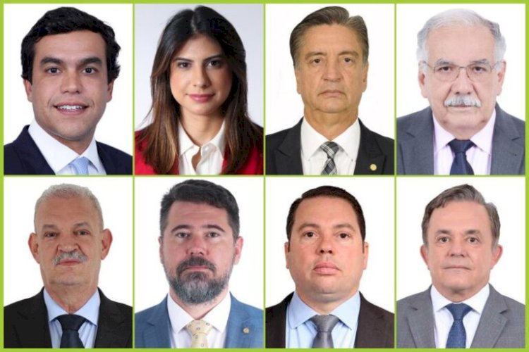 Volta do DPVAT: Veja como votaram os deputados de MS