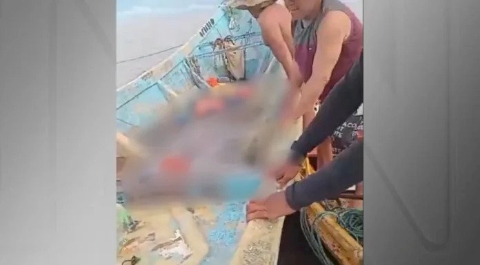 Polícia Federal: vítimas encontradas em barco à deriva no Pará são africanas