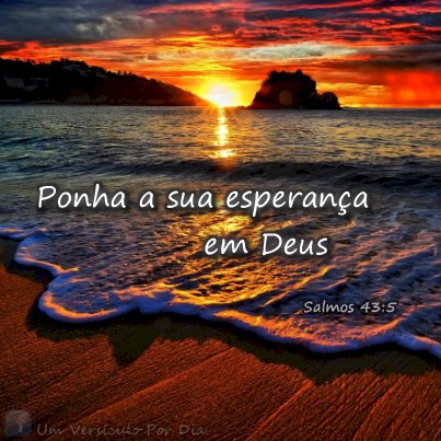 Salmo do dia