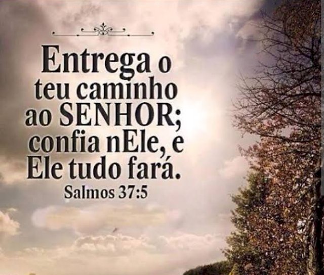 Salmo do dia