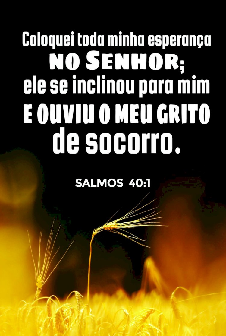 Salmo do dia