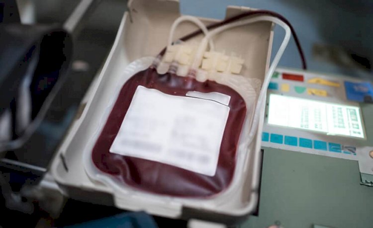 Testemunhas de Jeová podem recusar transfusão de sangue, decide STF
