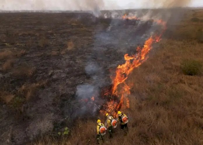 Governo Lula quer pena de até 18 anos de prisão para quem provocar incêndio florestal
