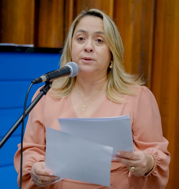 Lia Nogueira solicita base avançada da PM para reforçar segurança em Ponta Porã