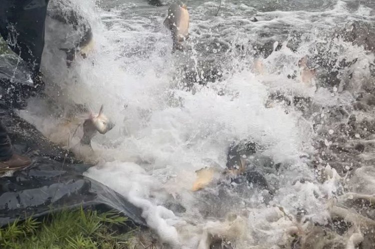 Pesca nos parques de Dourados está proibida devido a Piracema
