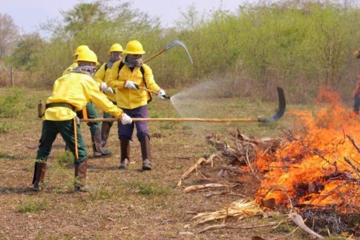 Deputado Zé Teixeira requisita equipamentos para combate a incêndios