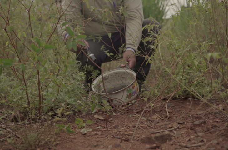 Mato Grosso do Sul avança no combate às arboviroses e projeta 7,6 milhões de visitas em 2025
