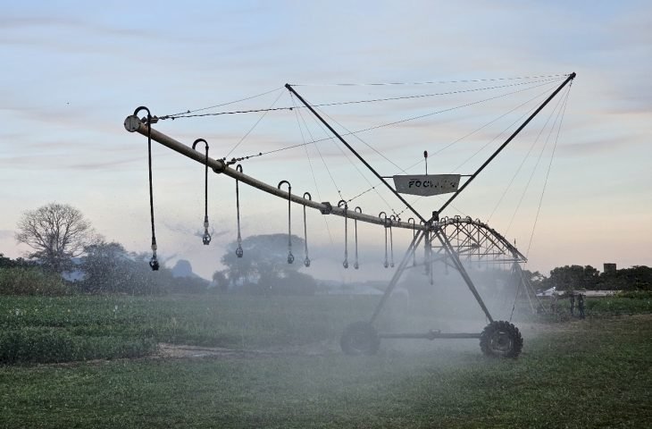 FCO aprova R$ 219,7 milhões para novos empreendimentos em MS; irrigação e citricultura são destaque