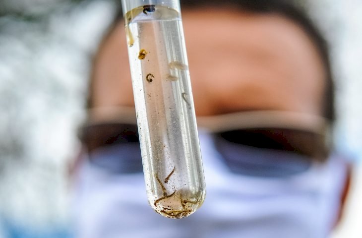 Boletim Epidemiológico: MS registra 1.234 casos confirmados de dengue