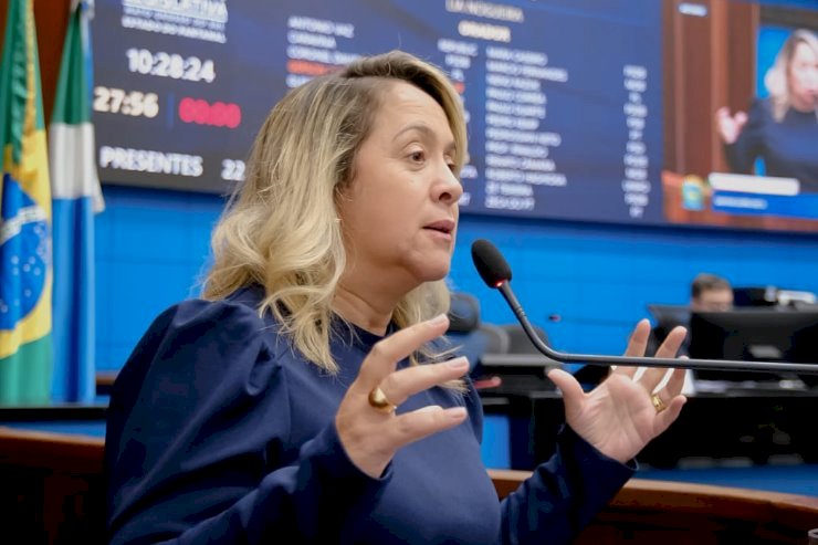 A pedido de Lia Nogueira, poluição causada por empresa em Itaporã vira alvo de ação judici