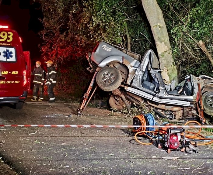 Pai e filho morrem em colisão de caminhonete com árvore