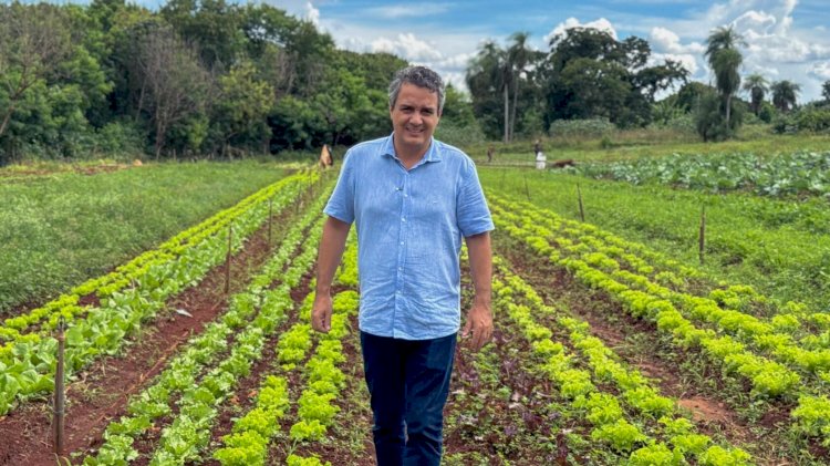 Câmara institui Frente Parlamentar pela Regularização das Hortas Urbanas proposta por Landmark Rios