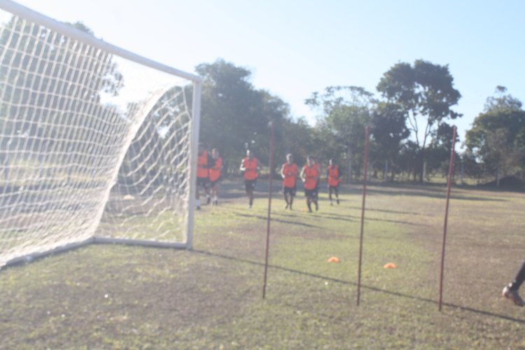 Com treinador definido, Taveira inicia treinos para disputa do estadual   Série B