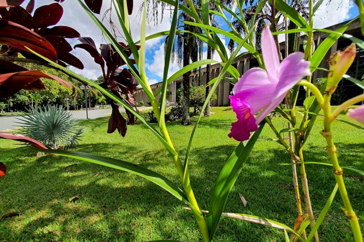 Agenda: Visitas, reuniões e sessões plenárias movimentam a primeira semana de março  Veja mais no site da ALEMS: https://al.ms.gov.br/Noticias/144466/agenda-visitas-reunioes-e-sessoes-plenarias-movimentam-a-primeira-semana-de-mar