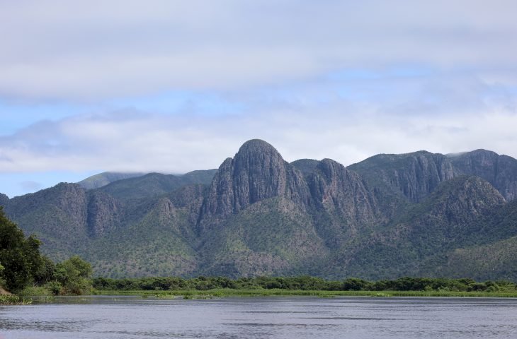 Para preservar o Pantanal, PSA Brigadas destinou mais de R$ 6,1 milhões para diferentes projetos sustentáveis