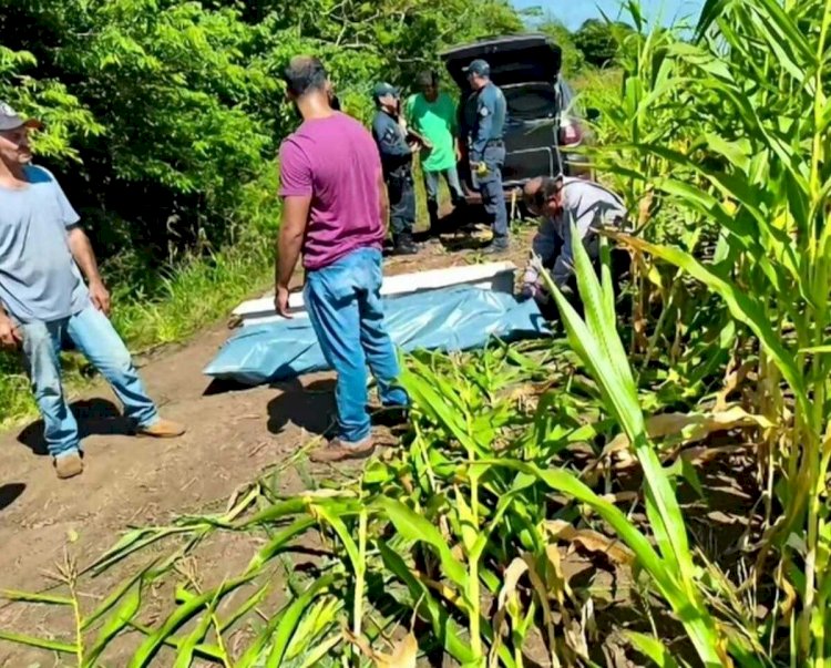 Homem morto por javali em Douradina