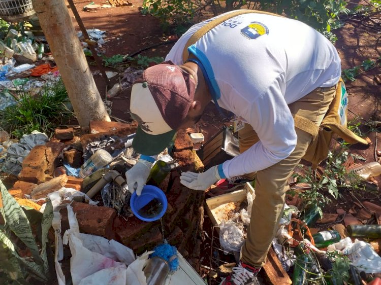 Agentes de endemias vistoriam mais 1.349 imóveis e identificam 6 focos de Chikungunya